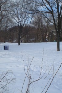 Toronto's South Hill in the winter